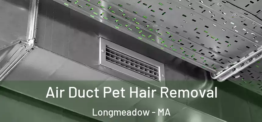 Air Duct Pet Hair Removal Longmeadow - MA