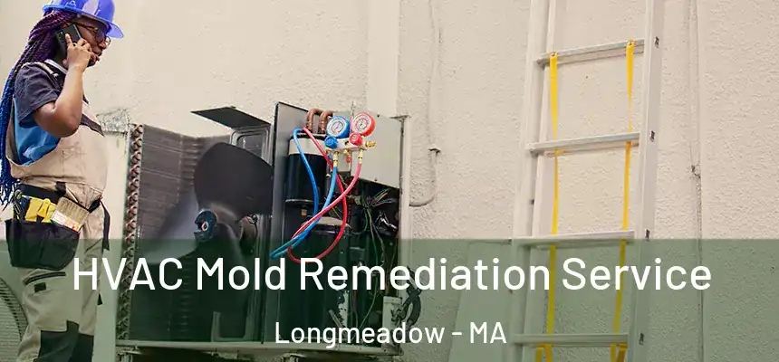  HVAC Mold Remediation Service Longmeadow - MA