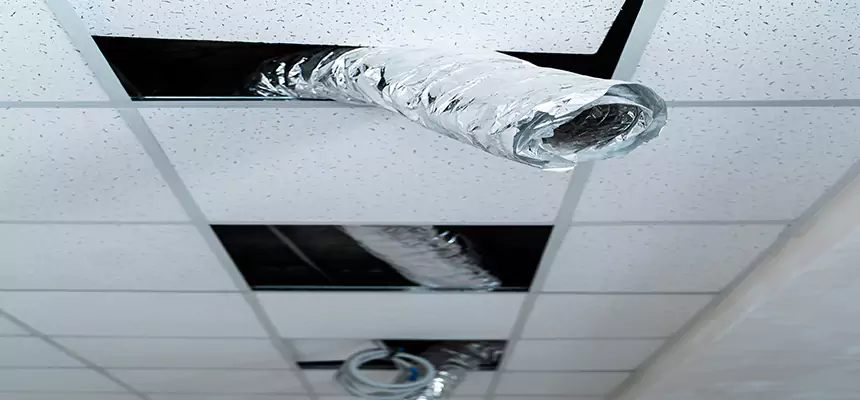 Our Air Duct Pet Hair Removal Services in Longmeadow, MA