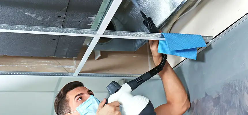 Our Air Duct Rodent Removal Services in Longmeadow, MA