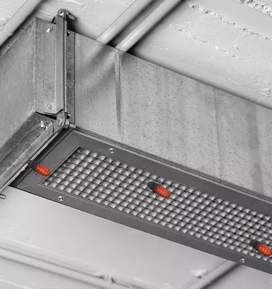 About Air Duct Cockroach Removal in Longmeadow, MA