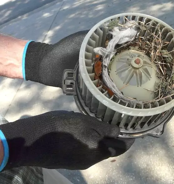 About Air Duct Mice Removal in Longmeadow, MA