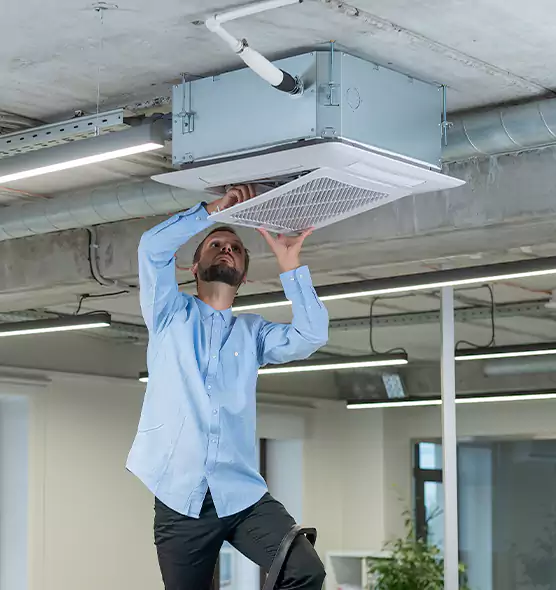 Advanced Rodent Droppings In Vents in Longmeadow, MA