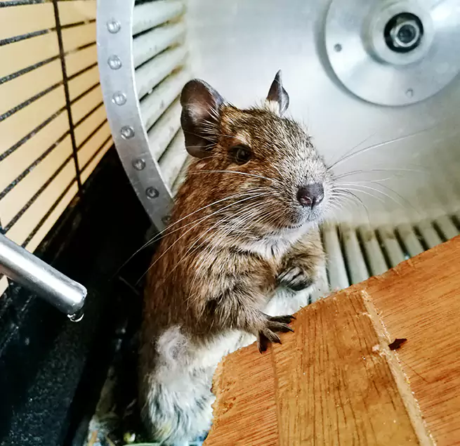 Why Homeowners & Businesses Trust Us Longmeadow, MA?