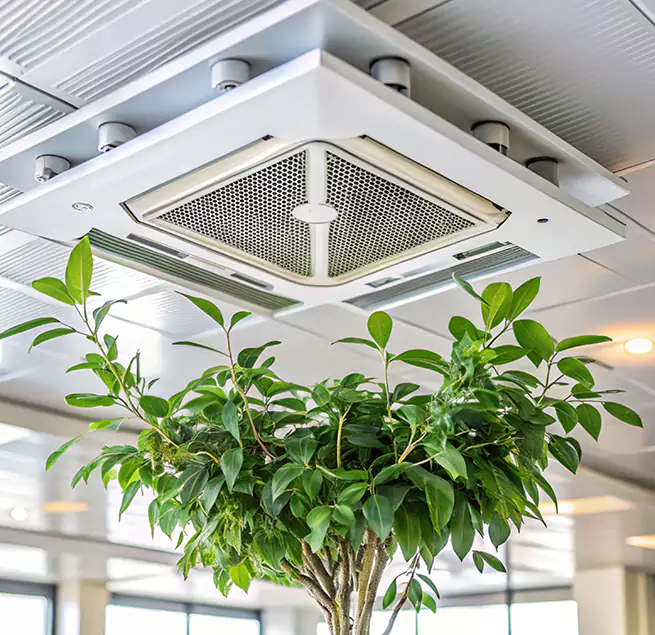 Why Homeowners & Businesses Trust Us in Longmeadow, MA?